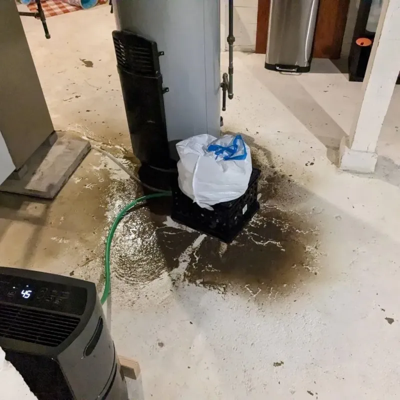 Sewage Backup Cleanup Service in Baker, MT